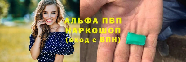бошки Новодвинск
