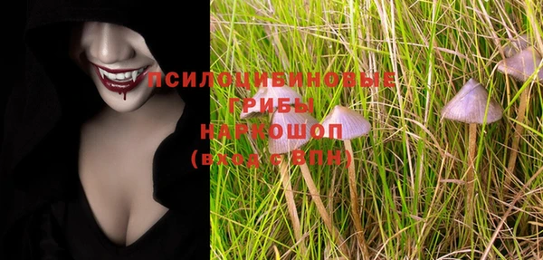 бошки Новодвинск