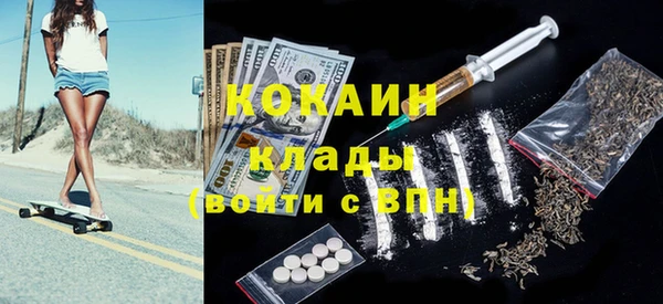 бошки Новодвинск