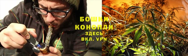 бошки Новодвинск